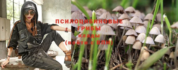 соль курить ск Алзамай