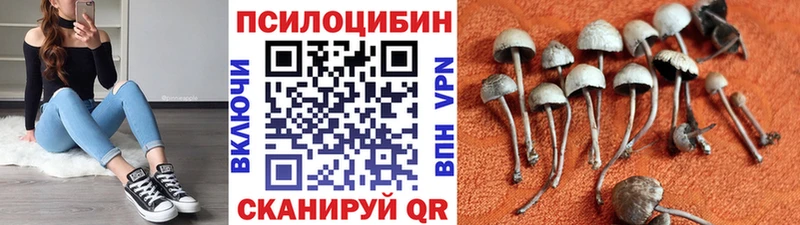 KRAKEN tor  наркошоп  Хотьково  Псилоцибиновые грибы мухоморы 